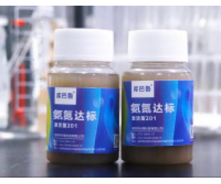 生化系統(tǒng)崩潰，氨氮超標(biāo)，我該怎么辦?