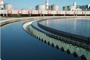 反硝化浮泥該如何預(yù)防？你知道嗎？