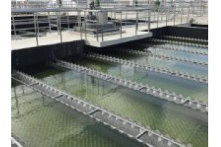 【干貨】有機(jī)物導(dǎo)致的氨氮超標(biāo)?這種情況該如何處理呢？
