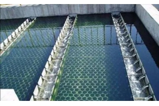 【干貨】生物濾池為什么一受沖擊氨氮去除率就會下降？