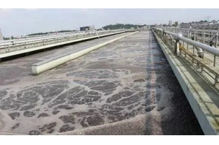 【重要】水中溶解氧越高，處理效果越好么？