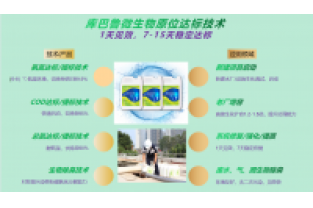 春節(jié)復(fù)工，生化系統(tǒng)快速修復(fù)，確保污水達(dá)標(biāo)排放