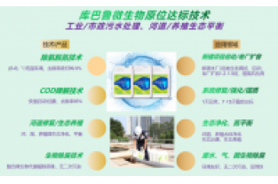 什么是氨氮激活菌，有什么作用